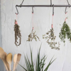 Verse kruiden: hoe bewaar je ze?