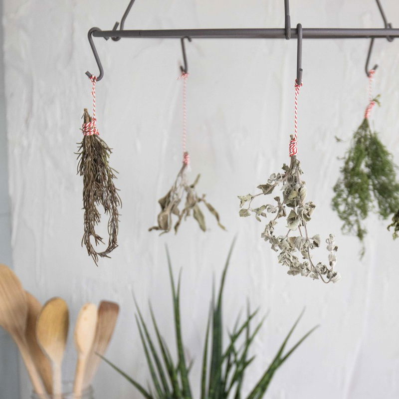 Verse kruiden: hoe bewaar je ze?