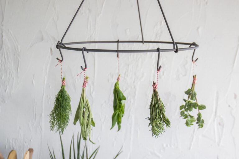 Verse kruiden: hoe bewaar je ze?