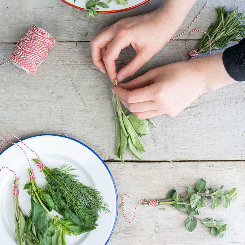 Verse kruiden: hoe bewaar je ze?