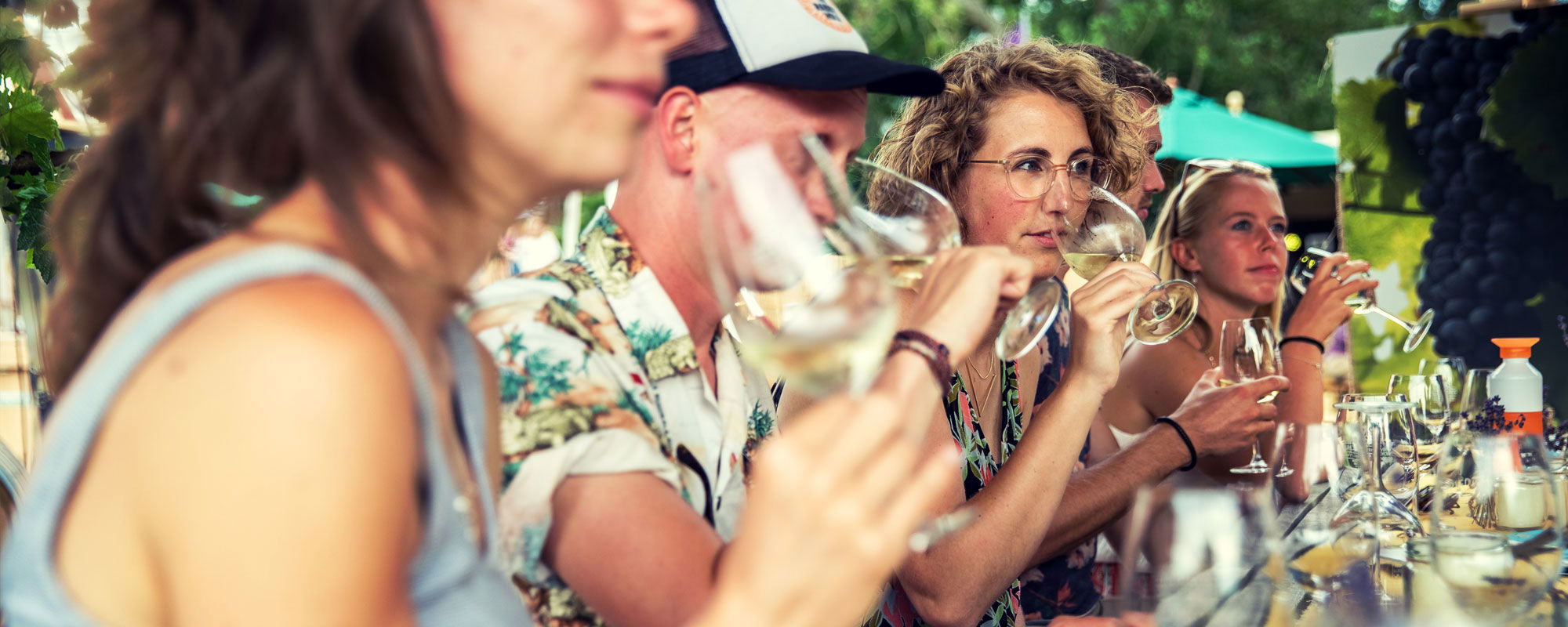 Bacchus Wijnfestival