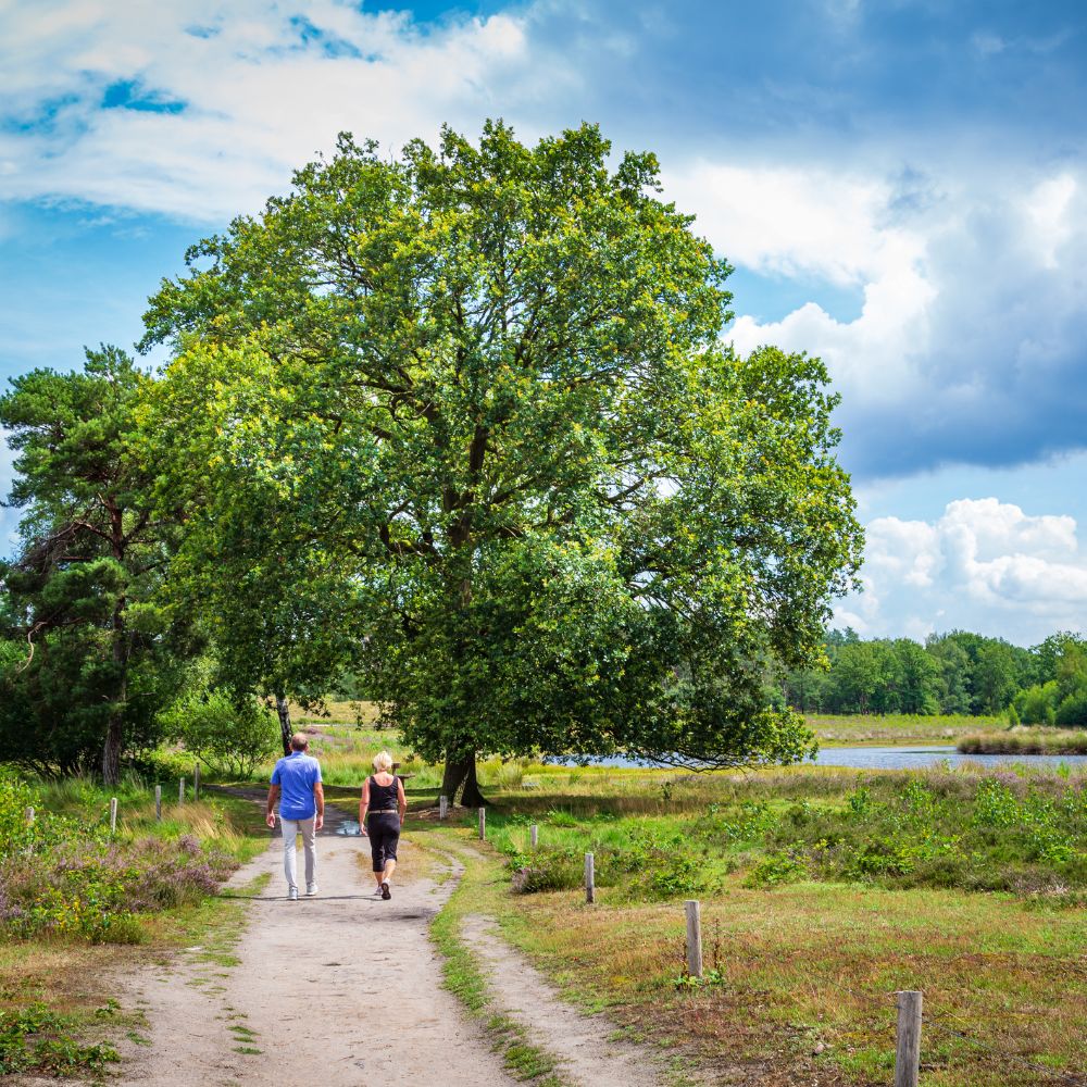 Challenge 4 wandelen