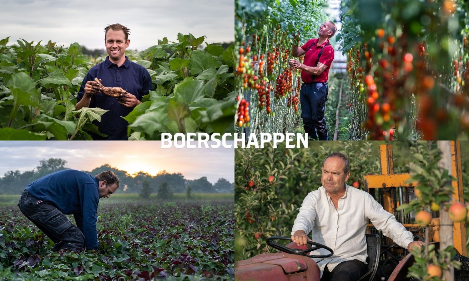 Boerschappen