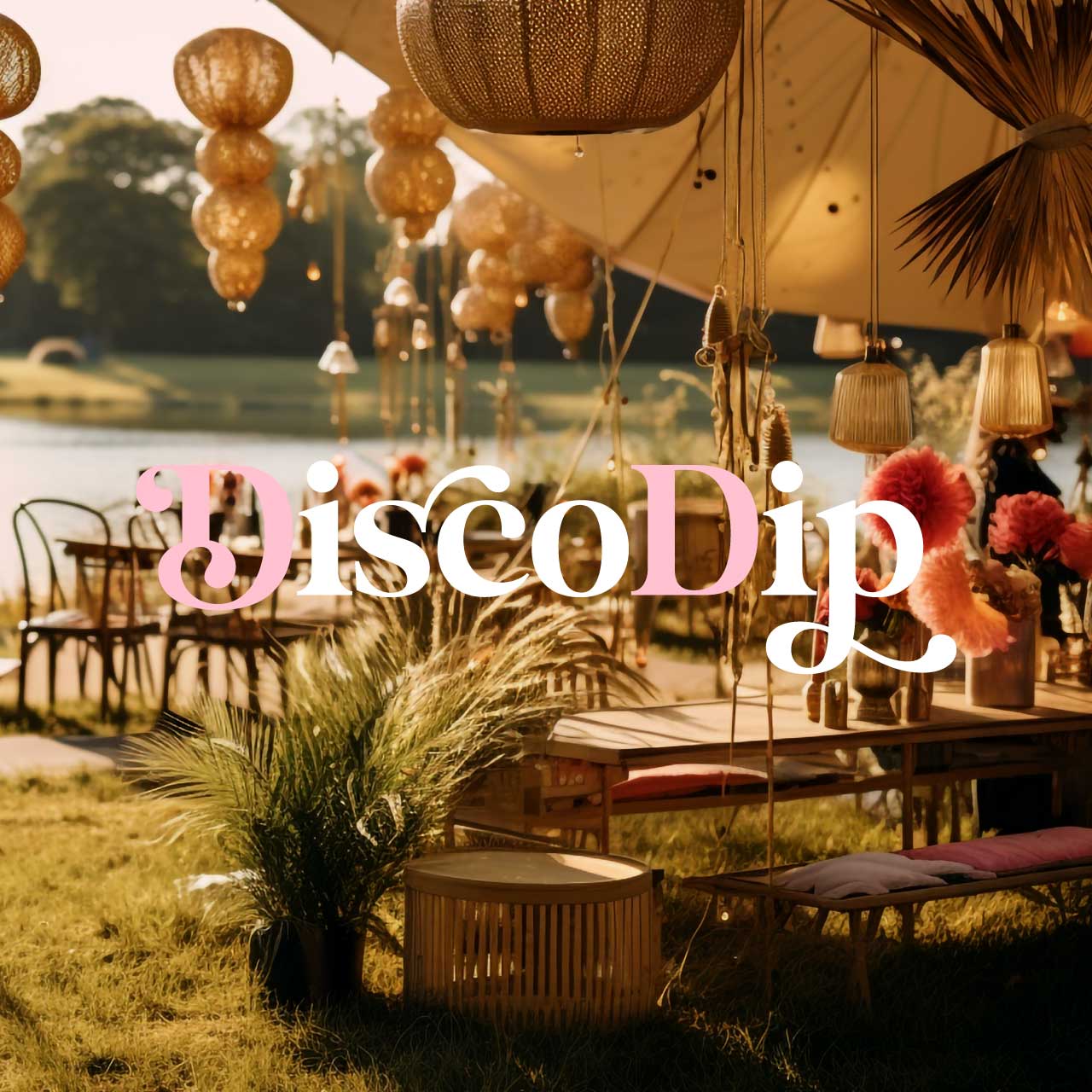 discodip