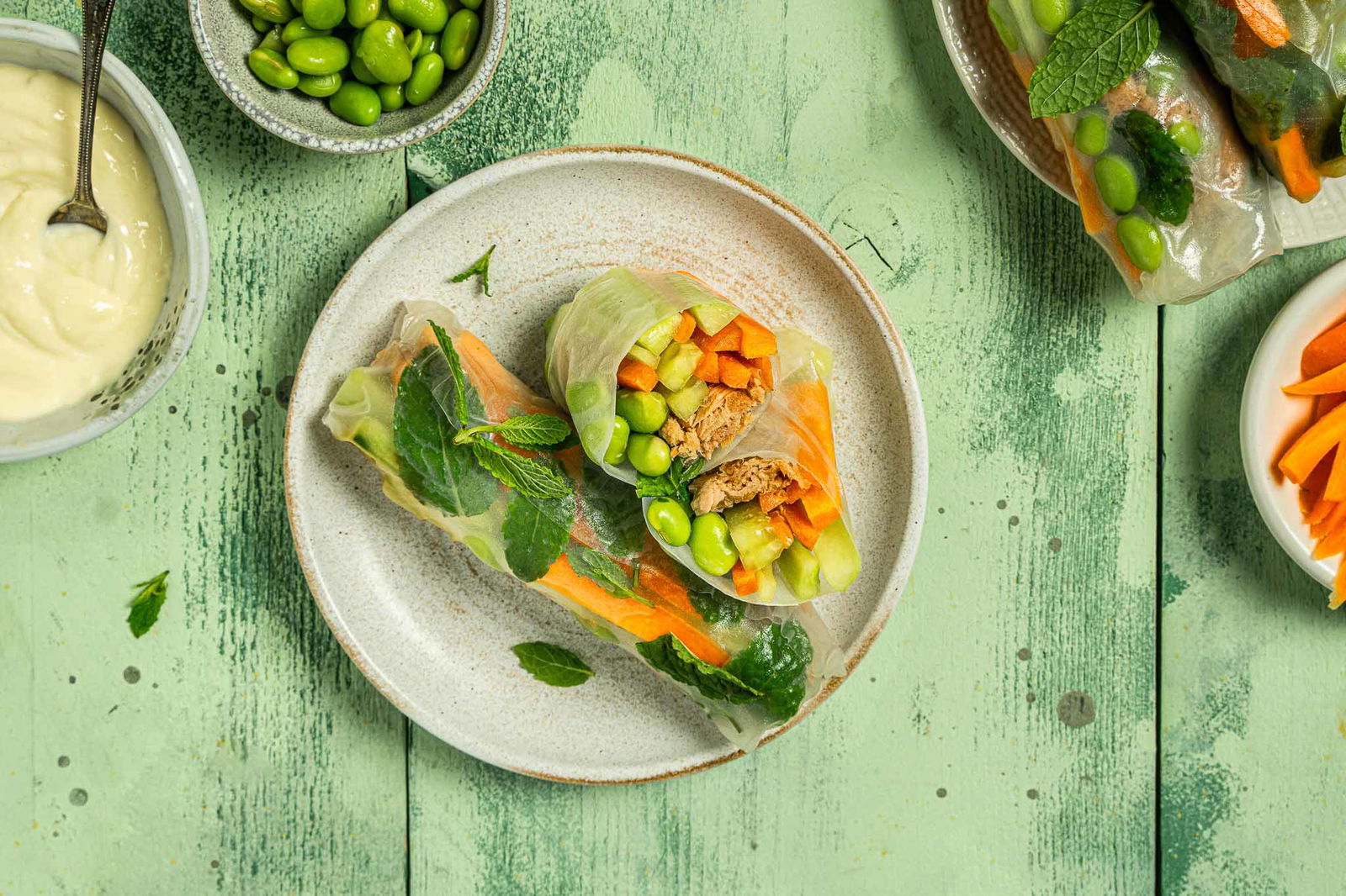 Spring Rolls Tonijn Liggend Low Res