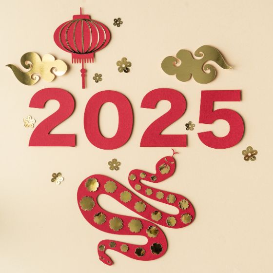 Chinees Nieuwjaar slang