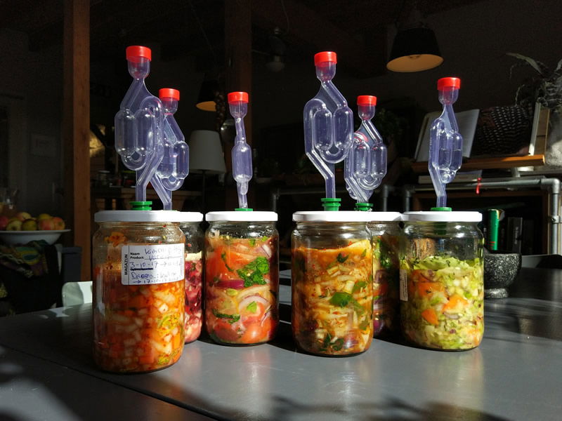 Groenten Fermenteren Cursus