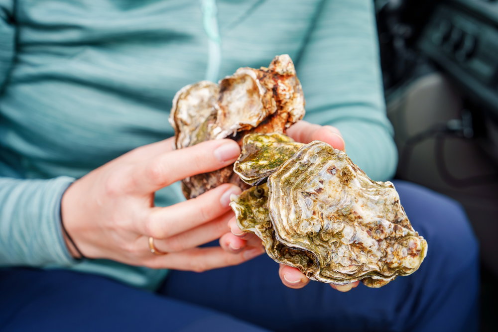 Vrouw die zelf oesters heeft geplukt