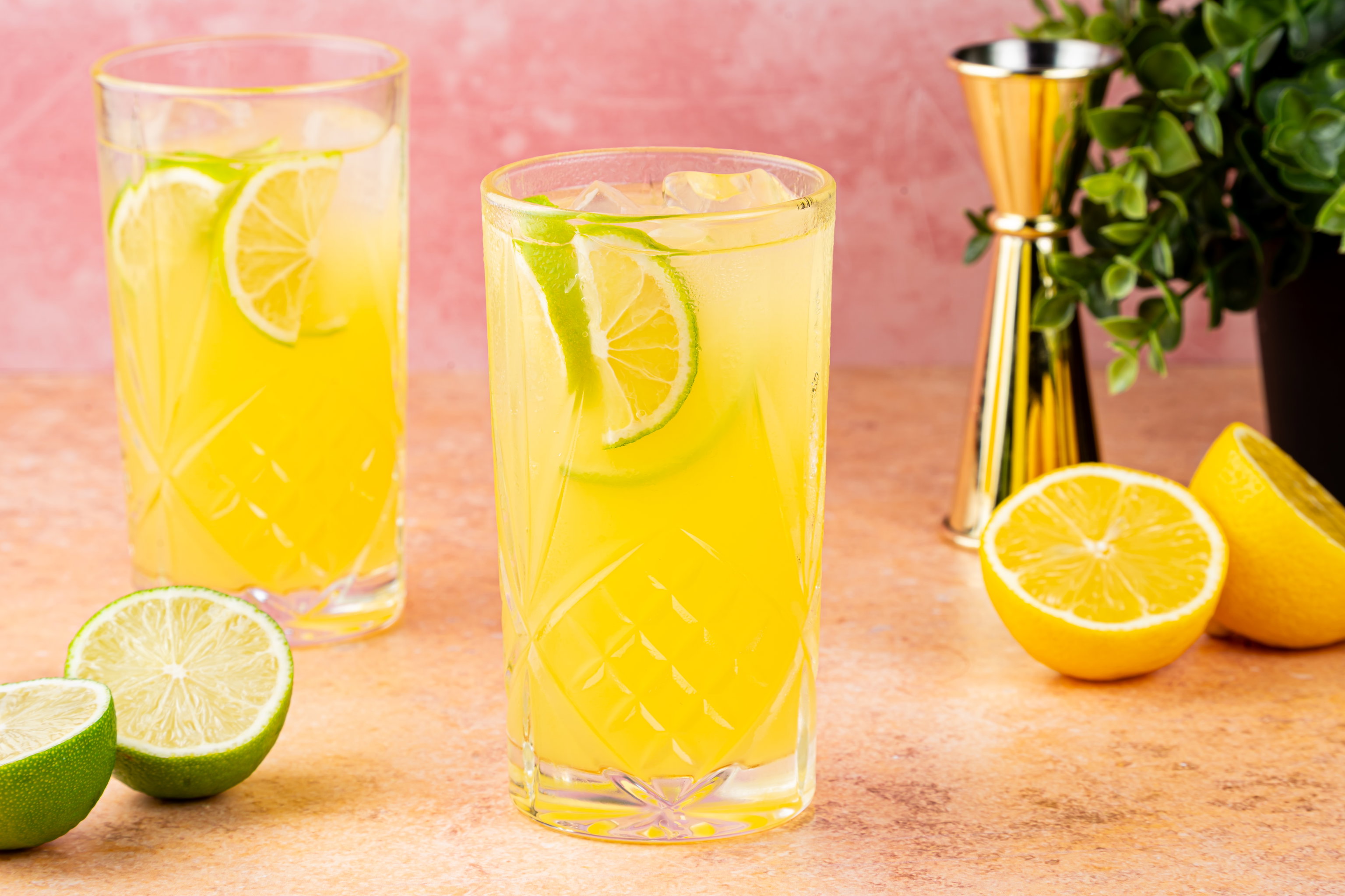 tequila citrus spritz met citroen en limoen