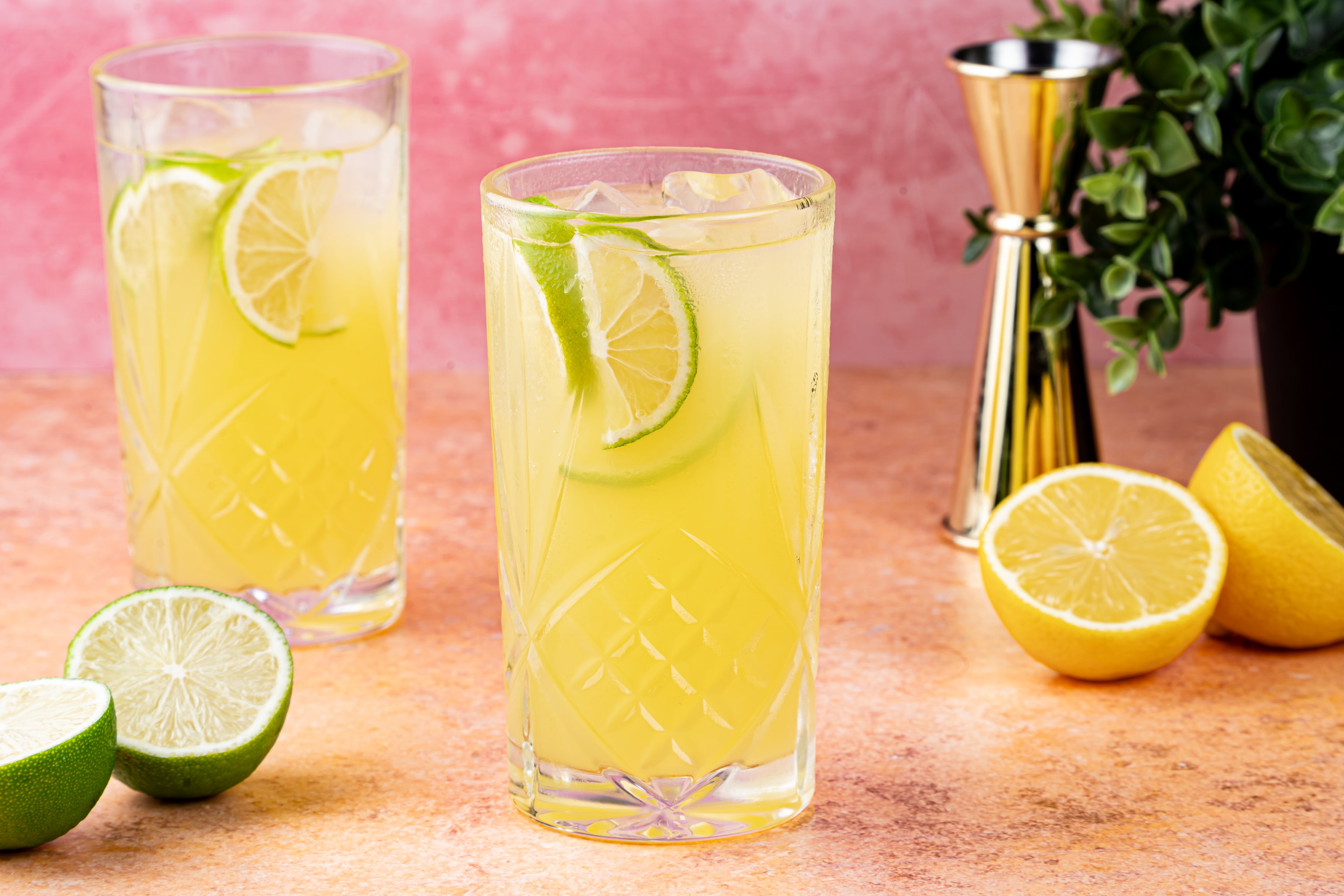 tequila citrus spritz met citroen en limoen